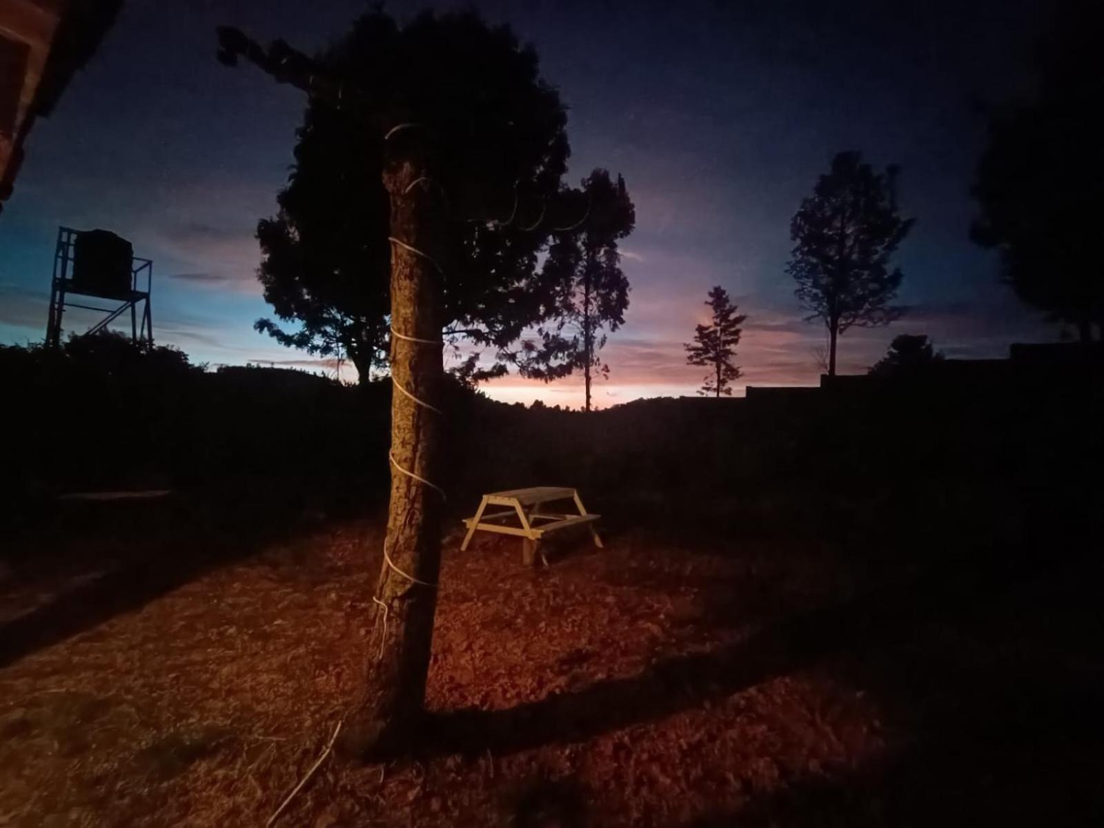 Little Valley Villa Ooty Bagian luar foto